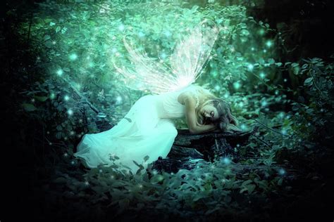 Sleeping Fairy In The Woods Photograph By Lilia D Fine Art America