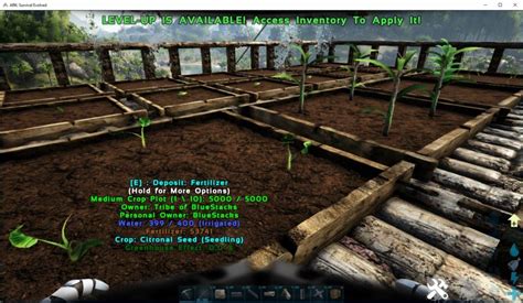 How To Set Up Your First Farm In Ark Survival Evolved Bluestacks
