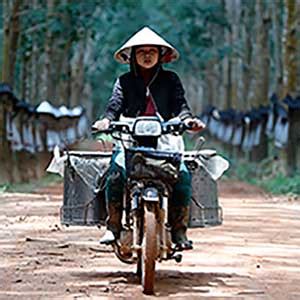 Country profile: Vietnam | New Internationalist