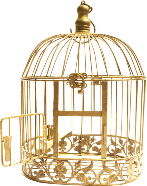 Cage Bird Png