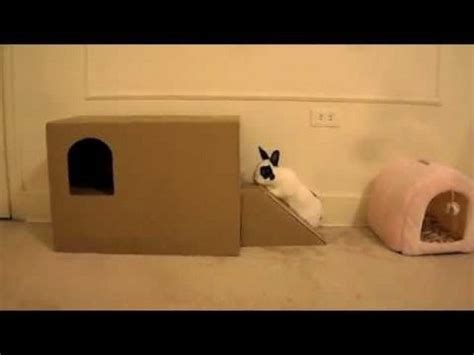 New Home Made Playhouse For Little Rabbit Rabbithouses Play Houses