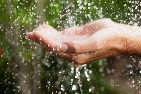 How To Disinfect Rainwater For Drinking