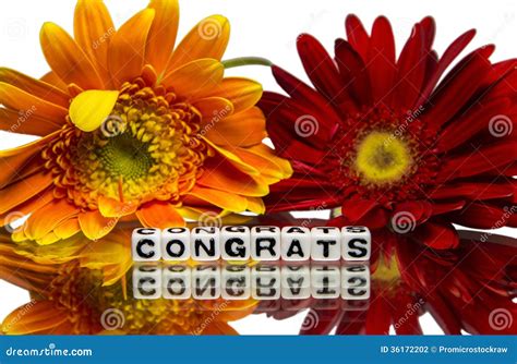 Congrats With Red And Yellow Flowers Stock Photo Image Of Acclaim