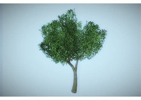 Low Poly Tree 3d Model Game Ready Obj 3ds Lwo Lw Lws Hrc Xsi