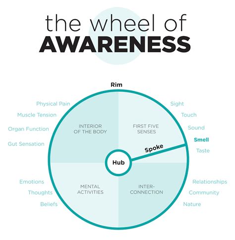 Kids would listen to these commands and make changes in their move. The Wheel of Awareness | Dan siegel, Awareness, Emotional ...