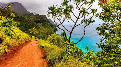 what-is-your-favorite-hawaiian-island-our-personal-favorite-is-kauai