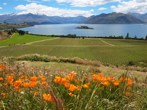 6 Reasons Why You Should Visit Wanaka New Zealand