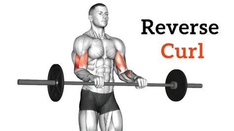 Reverse Bicep Curl Muscle Worked Benefits Variations