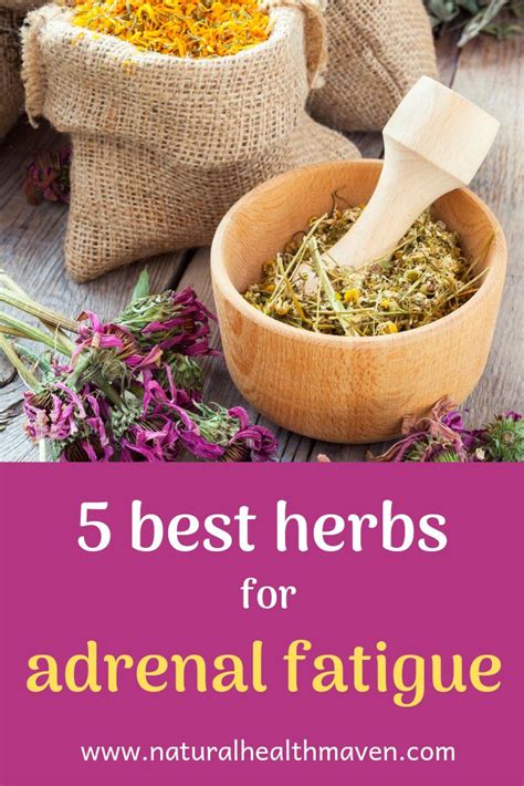 5 Best Herbs For Adrenal Fatigue Natural Health Maven Herbal Remedies
