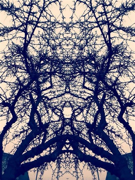 Tree Symmetry