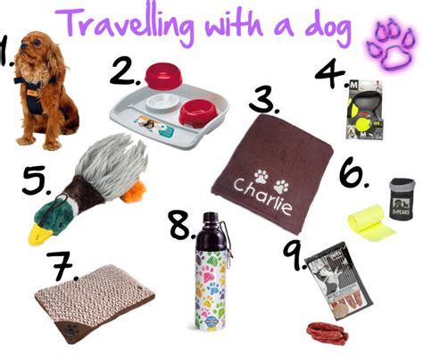 Essentials For Travelling With Dogs Dragons And Fairy Dust