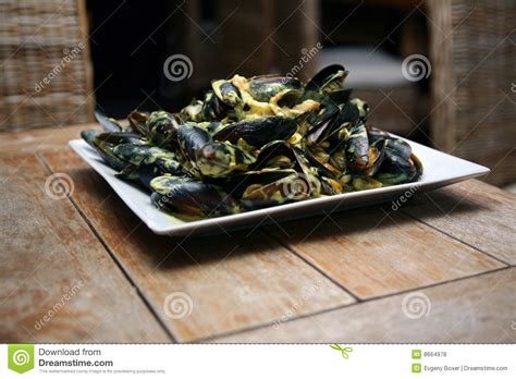 Mussels Stock Photo Image Of Horizontal Refreshment 8664978
