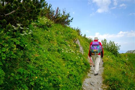 People Hiking Stock Image Image Of Female Healthy Hikers 16740687