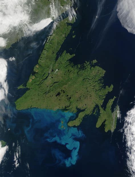 Nasa Visible Earth Phytoplankton Bloom Off Newfoundland Canada
