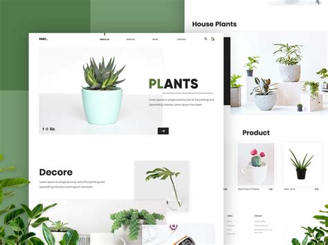 Plants For Styling Your Home Website Design By Sahil Bajaj For Master