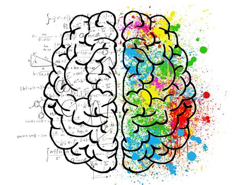 Right brain belief, everyone has one side of their brain that is dominant and determines their personality, thoughts, and behavior. Left Brain or Right Brain: Which Builds Better Products ...