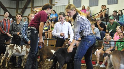 Richland County Fair Will Look Different Due To Covid 19 Rules