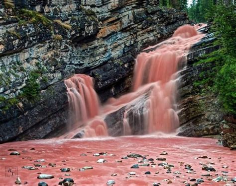 Cameron Falls Pink In Lake Waterton National Park Alberta Canada R