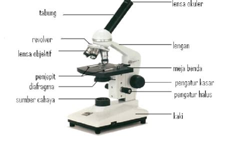 Bagian Bagian Mikroskop Purwo Corp