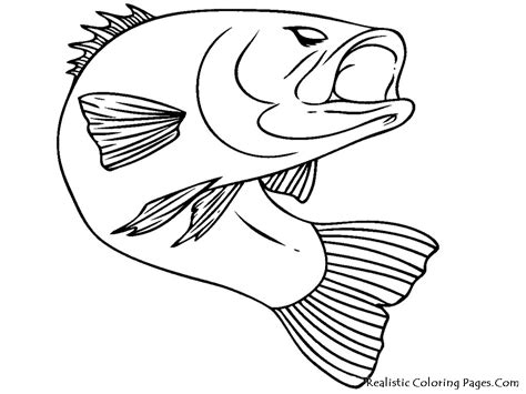 See more ideas about fish art, fish coloring page, fish. Fish Realistic Coloring Pages | Realistic Coloring Pages