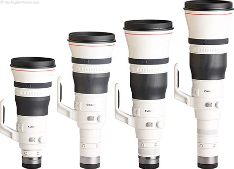 Canon Rf 1200mm F8 L Is Usm Lens Review