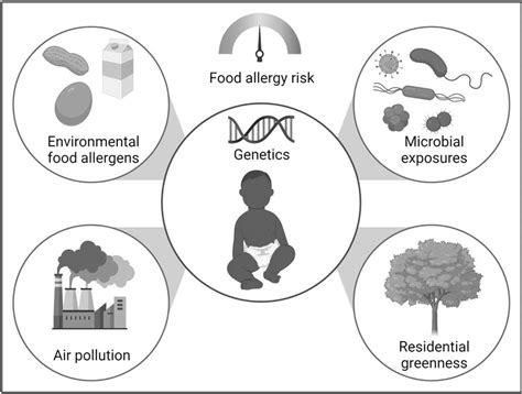 Impact Of The Exposome On Food Allergy Development Current Opinion In