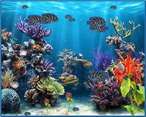 28 Aquarium Screensaver Background Aesthetic Backgrou