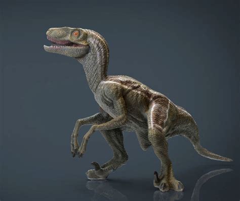 3d Model Velociraptor Dinosaur Vr Ar Low Poly Cgtrader