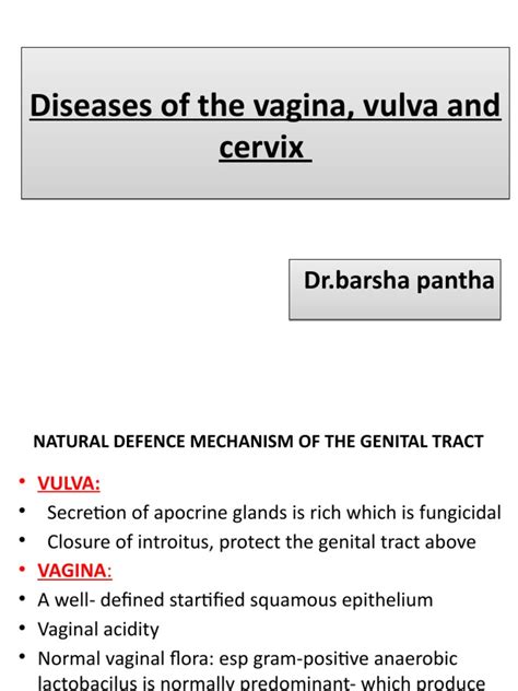 Diseases Of The Vagina Vulva And Cervix Diseases Of The Vagina Vulva And Cervix Pdf