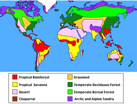 Tropical Rainforest Location World Map