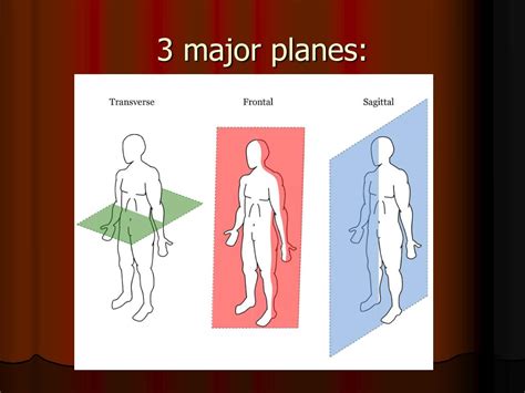 Ppt Planes And Positions Body Cavities And Membranes Powerpoint