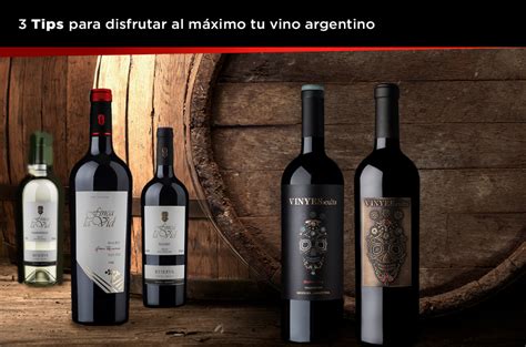 3 Tips Para Disfrutar Al Máximo Tu Vino Argentino La Vid Argentina