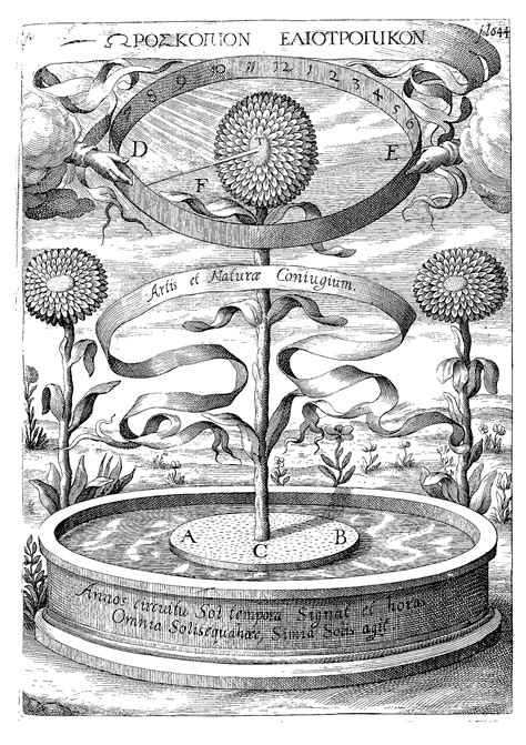 Agosto Foundation Athanasius Kircher Just As In This Corporeal World