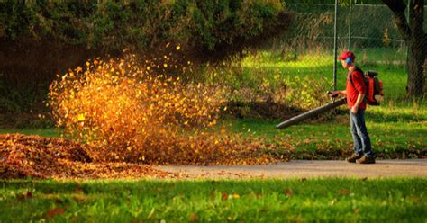 Check spelling or type a new query. How to Use a Leaf Blower Like a Professional - The Wise ...