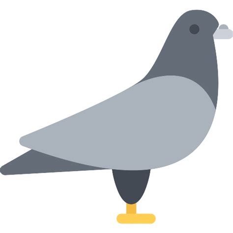 Columbidae Pigeon Png скачать бесплатно Png Mart