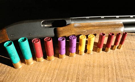 Understanding Shotgun Shells 101 The Shooters Log