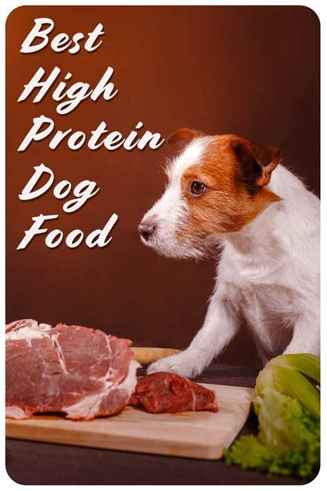 The 5 best foods for pitbull puppies to gain muscle. Best High Protein Dog Food To Enrich Your Pet's Diet ...