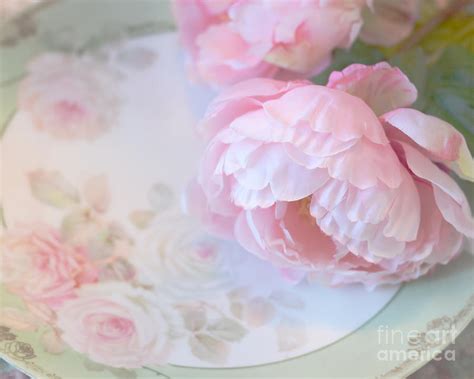 Dreamy Shabby Chic Pink Peonies Romantic Cottage Chic Vintage Pastel