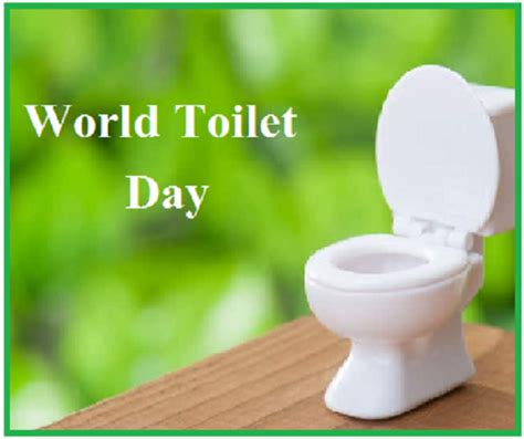 World Toilet Day All You Need To Know About History Significance And Theme For This Year