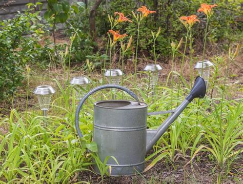 Iron Watering Can Near The Flower Bed With Orange Daylilies Stock Image