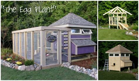 This extensive course will give you the confidence to make the right decision on a suitable and safe home. Adorable "Egg Plant" Chicken Coop
