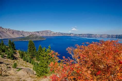The Best Places To See Fall Foliage In Northern California Cool