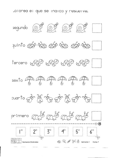 Números Ordinales Primer Grado With Images Third Grade Worksheets