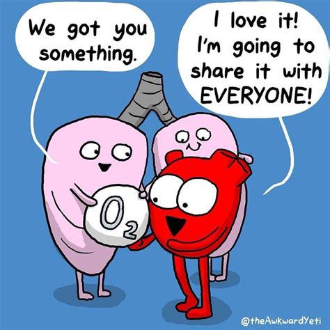 Explaining Cardiovascular System Biology Humor Biology Jokes