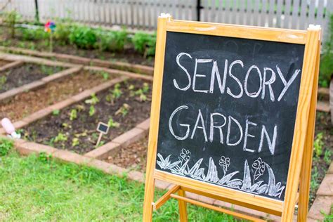 Sensory Garden Ideas And Designs For 2023 Checkatrade