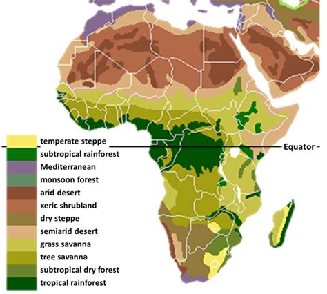 African Tropical Rainforest Map