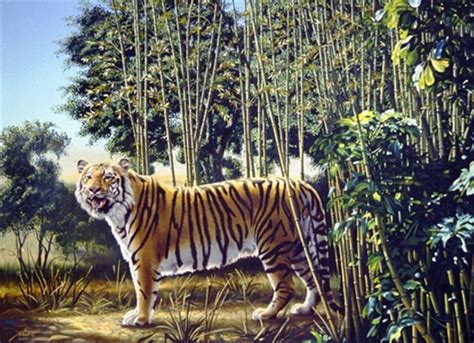 The Hidden Tiger Optical Illusion