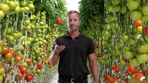 Sundrop Farms Gearing Up To Produce 105m Worth Of Tomatoes A Year In