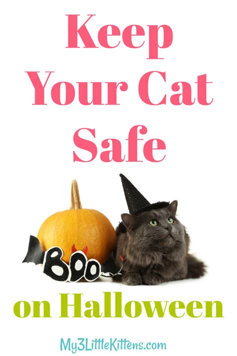 Keep Your Cat Safe On Halloween My 3 Little Kittens
