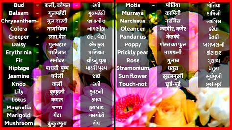 Check spelling or type a new query. FLOWERS | Flowers Name | Fuloke Naam | Fulona Naam ...